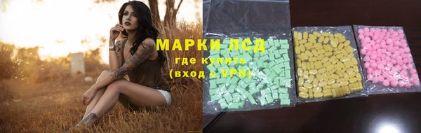 бошки Мегион