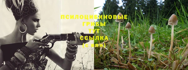 прущие крисы Белая Холуница