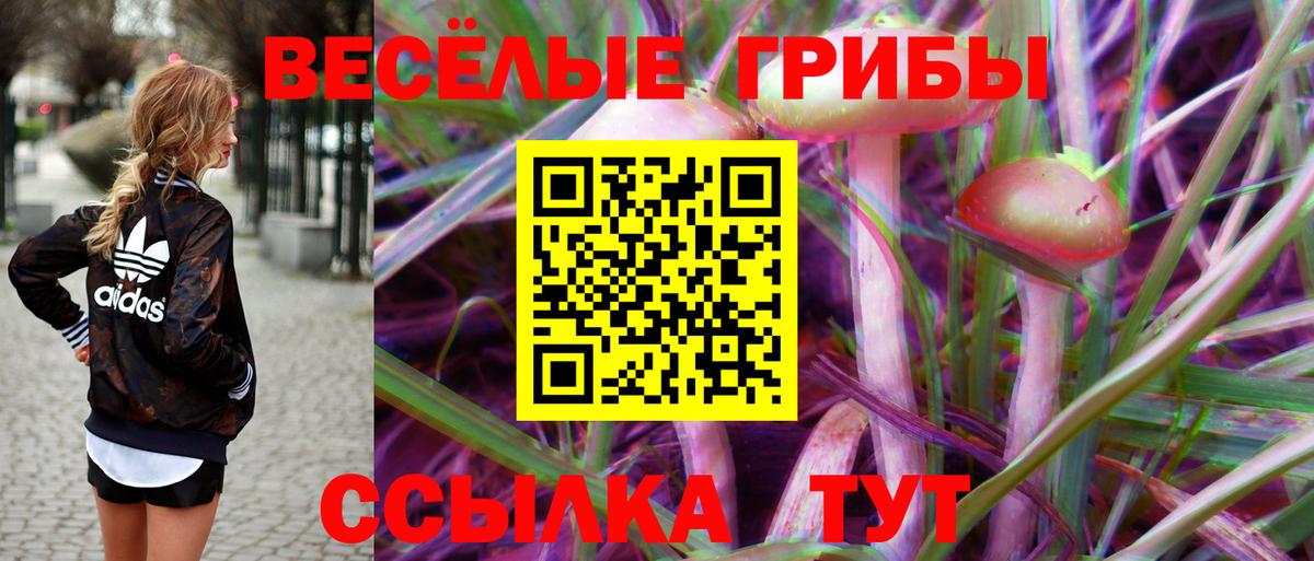 Псилоцибиновые грибы прущие грибы  Галлюциногенные грибы мухоморы  Истра  Вход с VPN 