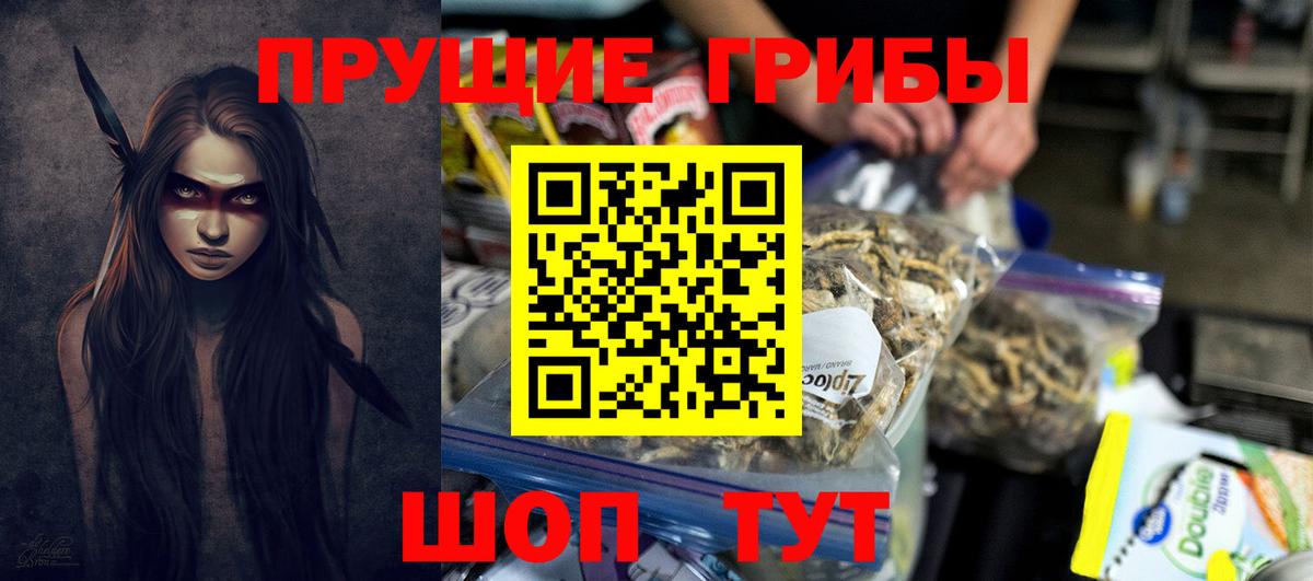 Псилоцибиновые грибы Cubensis  где купить наркоту  Истра 